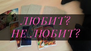 Любит? Не любит? – Его чувства к вам прямо сейчас? Расклад Таро по вариантам