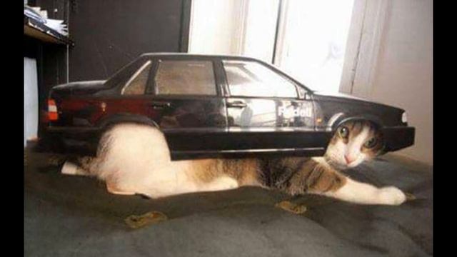 прикольные картинки про машины смотреть онлайн