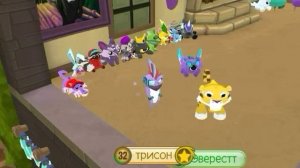 Полный обзор на тигра в Animal Jam  |Трисон|