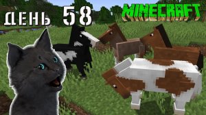 Minecraft СУПЕР КОТ НАШЕЛ НАШЕЛ ЦЕЛОЕ ПОЛЕ КОНЯШЕК ? ВЫЖИВАНИЕ 100  ДЕНЬ 58