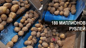 180 миллионов рублей. Линия по фасовке, сортировке, мойке, полировке овощей. КФХ Калина