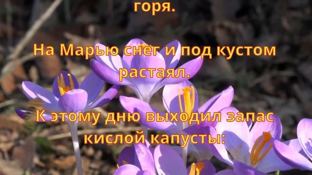 Календарь народных праздников и приметы апреля смотреть онлайн