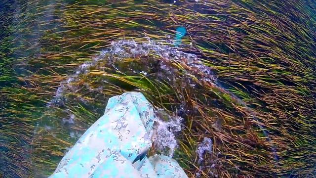 Охота на креветок смотреть онлайн