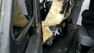 Видео обзор от нашего клиента из Тулы , Обшивки дверей в Уаз Хантер.