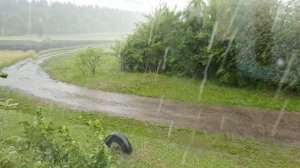 Сильный летний ливень за окном ?⚡