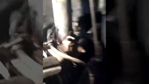 Шкода фабия тормозной шланг