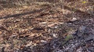 Нужна органика для огорода?Выход есть!