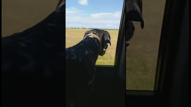 В соседнее сено на дискотеку