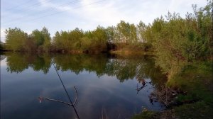 Озеро у дома.