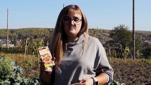 Подзимний посев семян. Подзимний посев многолетников, овощей, пряностей. Что посадить под зиму.