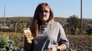 Подзимний посев семян. Подзимний посев многолетников, овощей, пряностей. Что посадить под зиму.