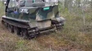 Гусеничный вездеход бродяга. По болотам Коми. Видео от Бориса.