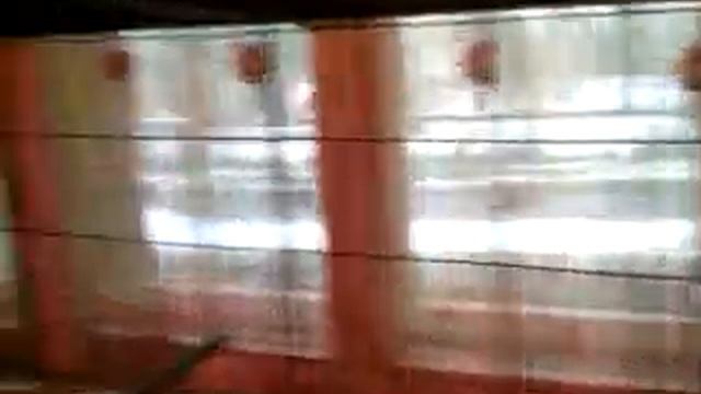 Rozella papagájok 2.mp4 смотреть онлайн