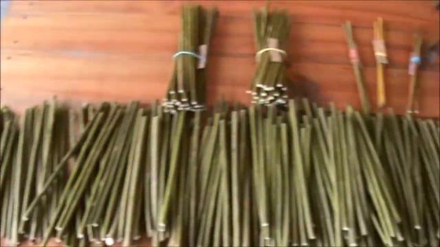 Как правильно хранить ивовые черенки