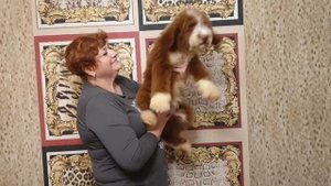 Королевский Пудель