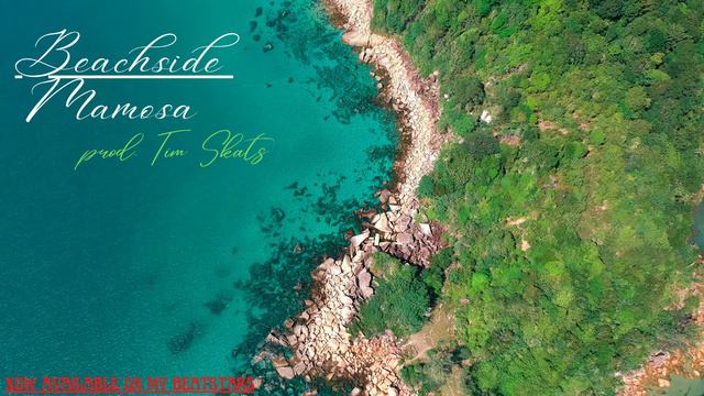 Smino x Earthgang x JID type beat "Beachside Mimosa" prod. Tim Skats смотреть онлайн