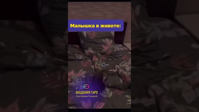 Что такое 3 триместр?