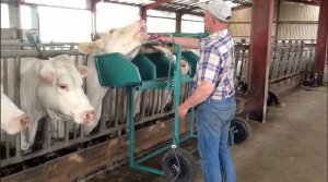 Удивительное современное оборудование для разведения овец и коров что очень упрощает работу фермера