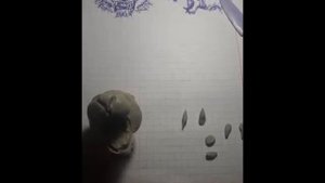 Нow to mold a tiger from plasticine.Как слепить голову тигра из пластилина.
