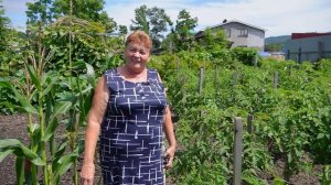 «Сады и огороды Приморья». АВГУСТ.