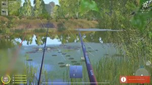 Трофейная Лягушка. Закрытие водоёма. Озеро Комариное. Русская рыбалка 4 | Russian Fishing 4