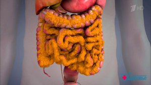 Персонифицированная медицина. Висцеральный жир. Здоровье. Фрагмент выпуска от 18.06.2017