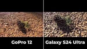 GoPro HERO 12 vs Samsung Galaxy S24 Ultra!