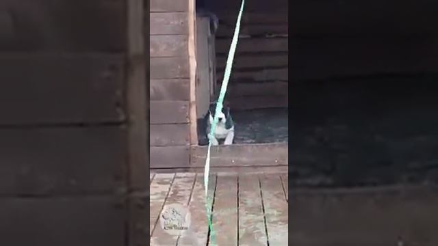 Кабир в предварительном резерве. смотреть онлайн