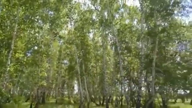 26 марта Никифоров день/Оберегайтесь острых предметов/Не рубите деревья/