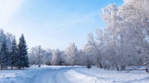 серебристая зима