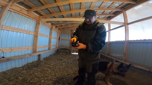 Мини-загон для гусят ! [Жизнь в деревне] смотреть онлайн