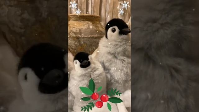 Penguin Family greeting you A Happy Christmas! #short