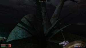 TES 3 Morrowind #1-2 No Commentary, Full Walkthrough, Max Difficulty, All Quests, Almost Vanilla