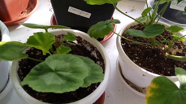 7 августа 2022 г. смотреть онлайн