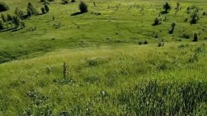 31 мая- народный праздник Федотов день.День семи святых дев.Благодатное время