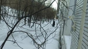 Росляково-Приморская