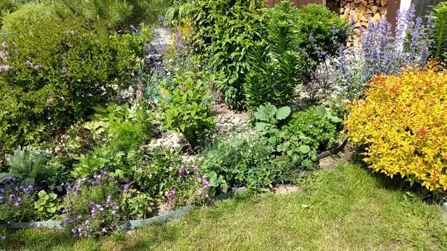 Высаживаю Цветы? в Кашпо и Клумбы Букетным Способом. Украшаю свой Сад #сад #garden смотреть онлайн