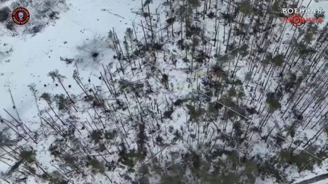 Бронегруппы ВДВ совместно с миномётными расчётами и штурмовиками положили группу ВСУчек