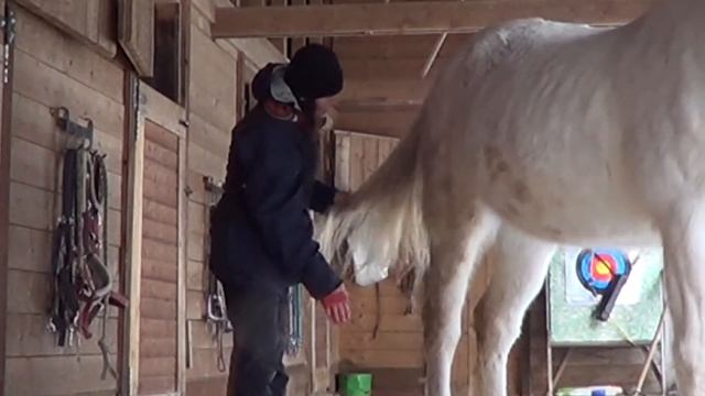 Чистим серую лошадь зимой: миссия невыполнима? смотреть онлайн