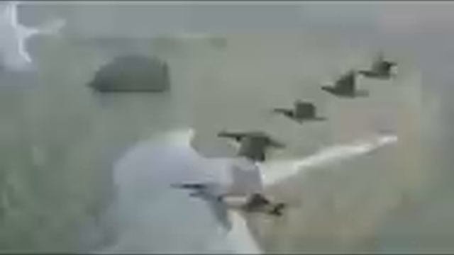 ЖУРАВЛИ НА ПОЛЕСЬЕ ЛЕТЯТ АНДРЕЙ КОНДАКОВ