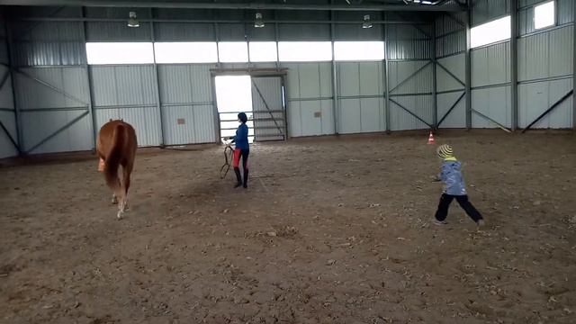 Тест 3 Анжелика и Посейдон смотреть онлайн