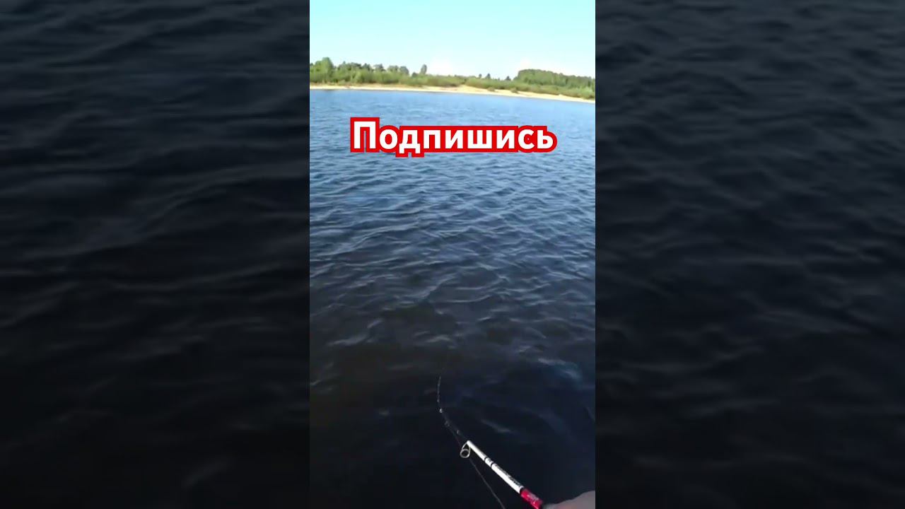Проводка тейлспинера. Одна из… Клюет окунь. #ловим #волжанин #тейлспинер #hurricane #ufstudio