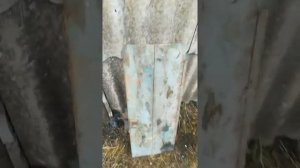 Корыто для свиней. Быстро и просто.