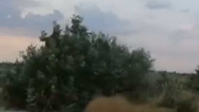 Камышеватка!
