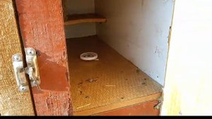 ЗИМНИЙ МАТОЧНИК для кроликов