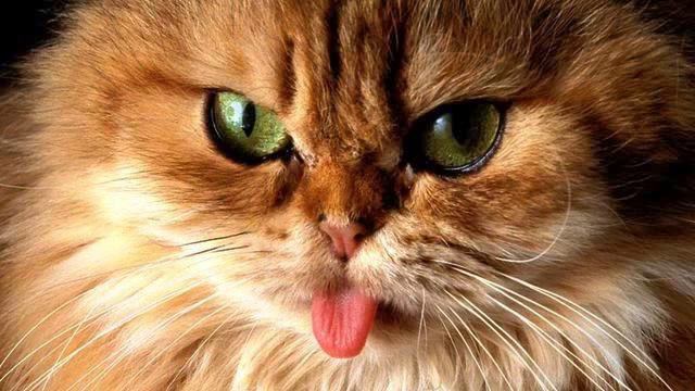 Музыка на фон. Реальный хит! Люблю! смотреть онлайн