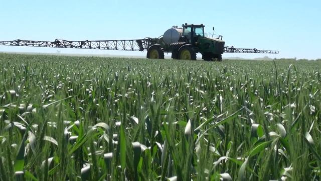 BASF на Агра 2014 - иновации при всички полски култури смотреть онлайн