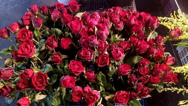 Дарите женщинам цветы стихотворение. Автор - Галине Шагалиева