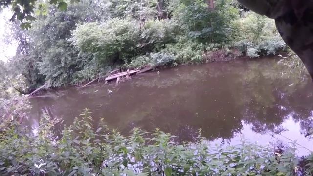 Поздним утром на речке, голавлики и язек