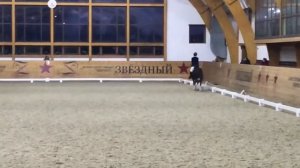 Первый зимний турнир по выездке//3 место//первые соревнования